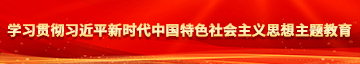 艹比片在线观看学习贯彻习近平新时代中国特色社会主义思想主题教育